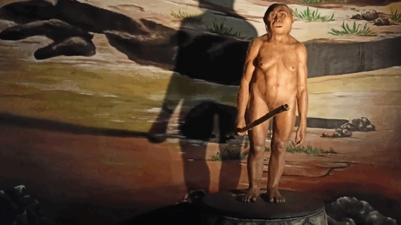 hobbits - descubrimiento - curiosidades - hominido