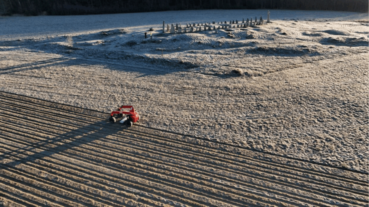 suecia - curiosidades - rey - ruta - mundo