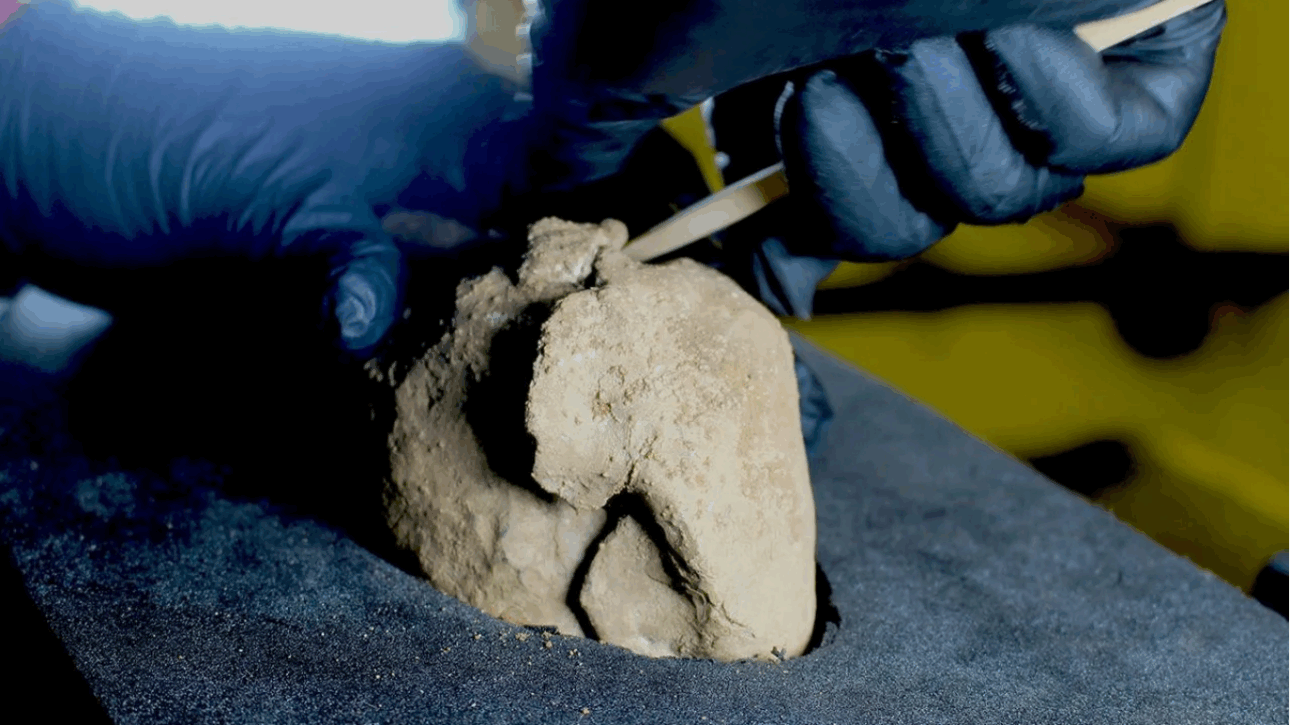 moedas raras - moedas de prata - inglaterra - tesouro