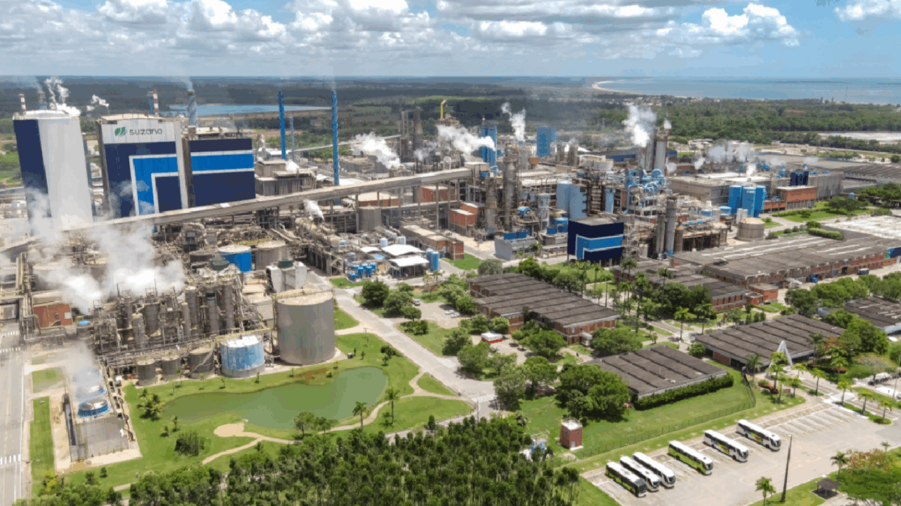 celulosa - papel - empresas - economia