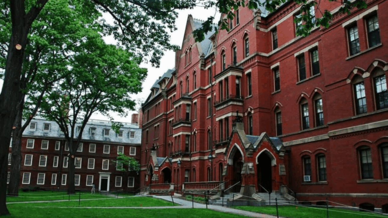 harvard - cursos gratuitos - cursos online - capacitação