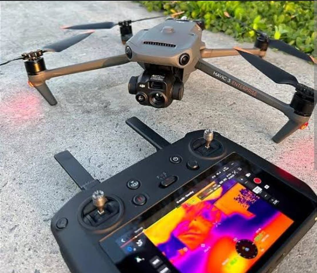 fogo, chamas, queimada