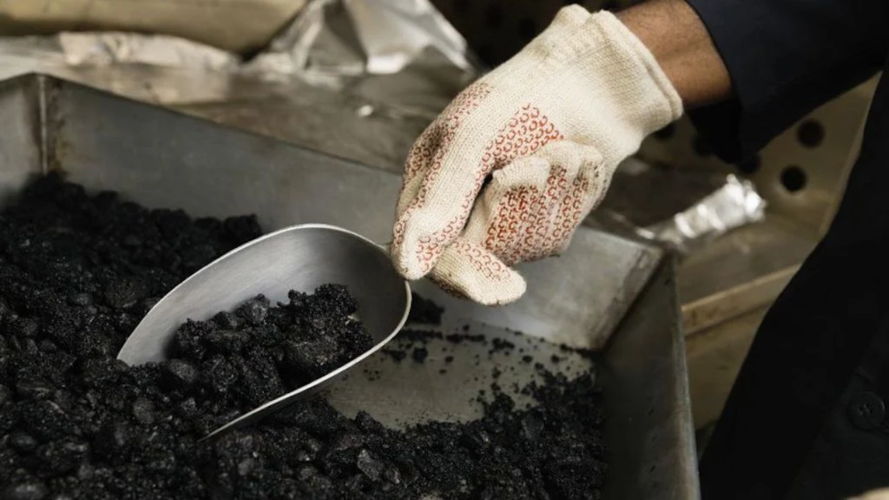 Colillas de cigarrillo para construir carreteras