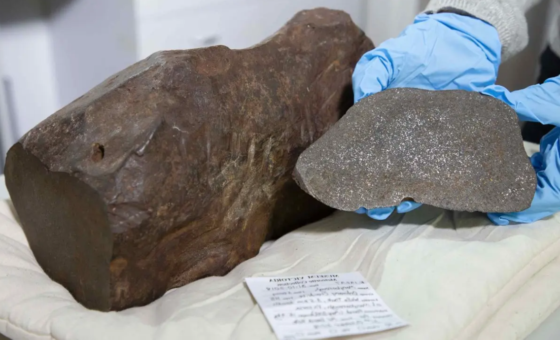 También se encontraba en una región famosa por descubrimientos de oro, así que ya tenía grandes expectativas. El meteorito tenía una apariencia diferente de las piedras comunes, lo que aumentó su esperanza de encontrar un tesoro.