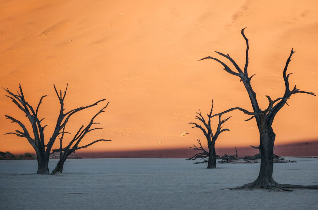 Ya llovió en el pasado, hace miles de años, cuando el clima de la región era más húmedo y el Dead Vlei era un pantano con vegetación. Con el tiempo, cambios climáticos desviaron los ríos y dejaron el lugar completamente seco, haciendo que la lluvia sea prácticamente inexistente en la actualidad.