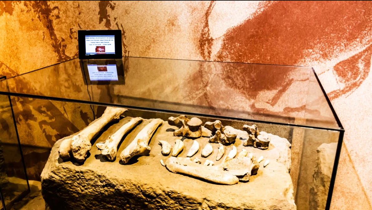 Se encontraron fósiles humanos y herramientas de piedra con cerca de dos millones de años en el sitio arqueológico Valea lui Grăunceanu, en Rumanía. Las evidencias muestran que antiguos homínidos ya utilizaban herramientas para procesar alimentos.