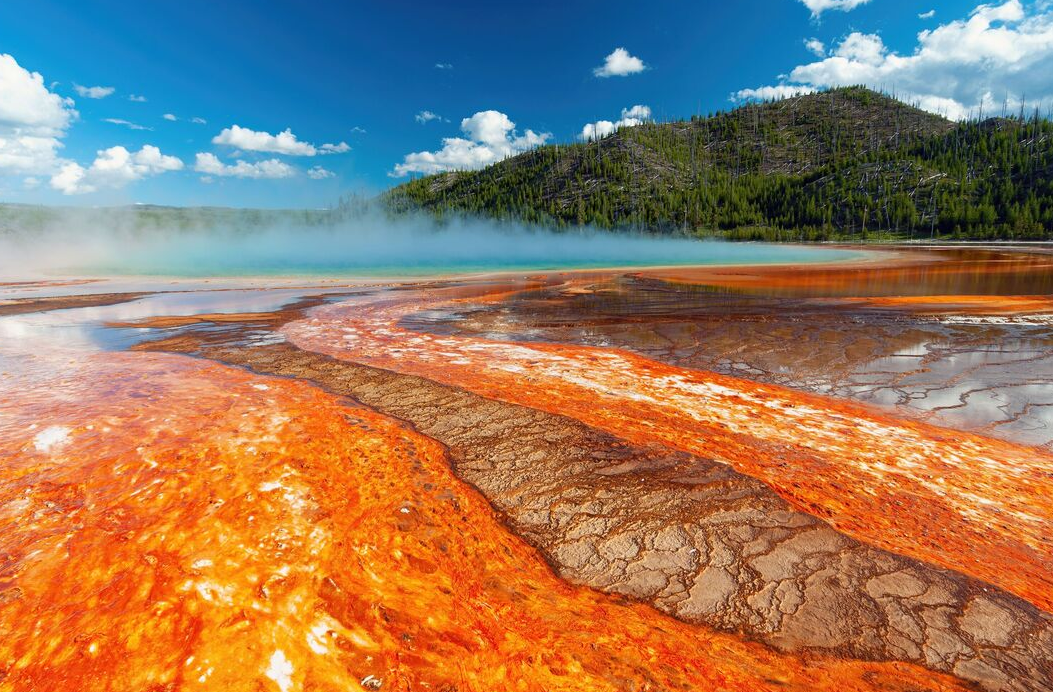 Yellowstone tiene colores vibrantes debido a la actividad geotérmica y a las bacterias termofílicas que viven en las fuentes termales. Estos microorganismos prosperan a diferentes temperaturas y producen pigmentos que van del amarillo al naranja, creando esa increíble vista. ¡Es como una obra de arte natural realizada por la química y la vida!