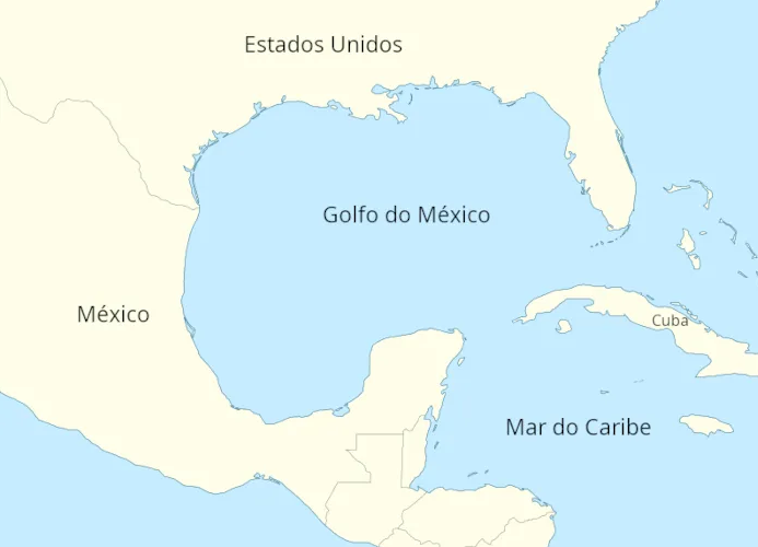 Estas regiones tienen ecosistemas importantes y comunidades que dependen del océano, por lo que necesitan ser protegidas. Además, son áreas con alto riesgo de derrames de petróleo, que pueden causar enormes daños a la naturaleza y a las personas.