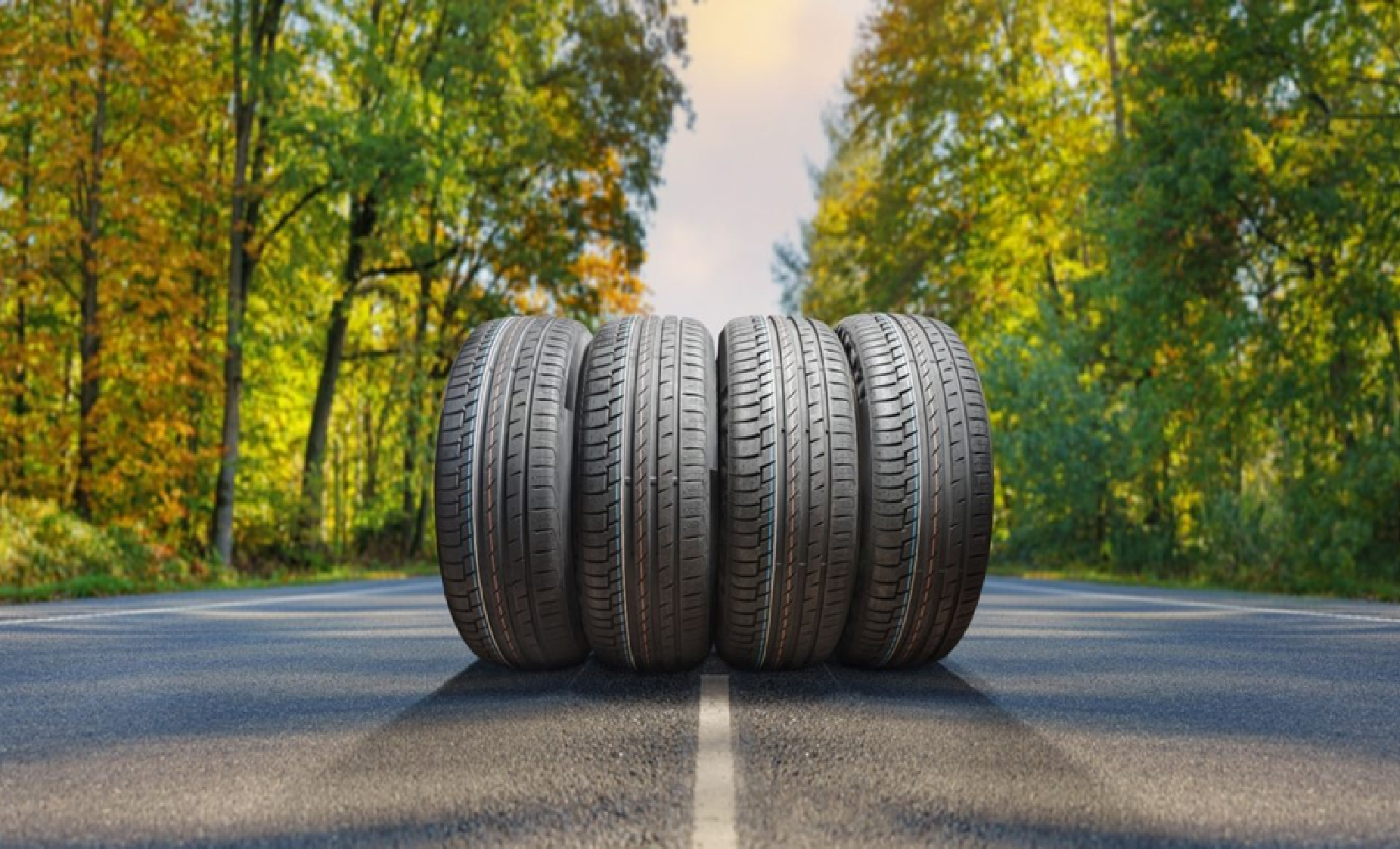 pneus, stellantis, cascas de ovos