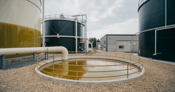 UFSC surpreende com nova tecnologia que duplica a produção de biodiesel