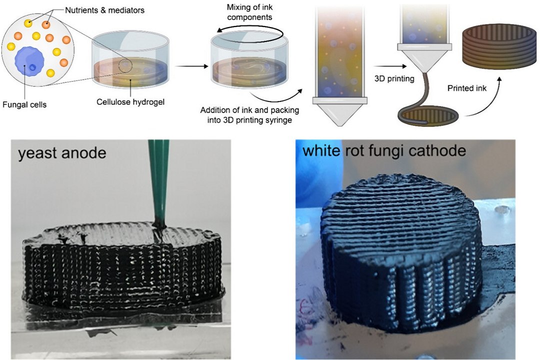 Proceso de fabricación de la biobatería