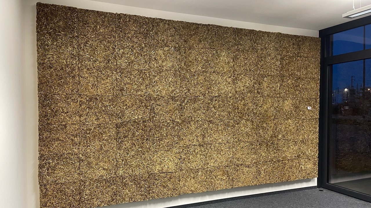 Paneles hechos con lúpulo de cerveza por HopfOn