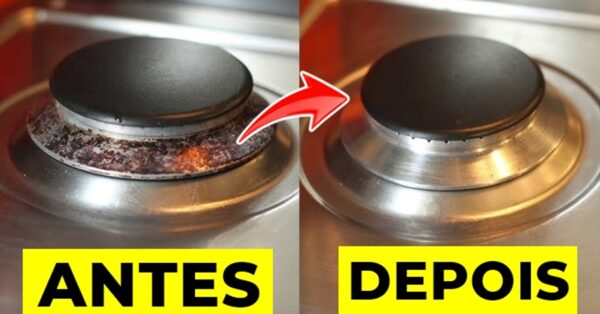 bocas do fogão, bocas, fogão