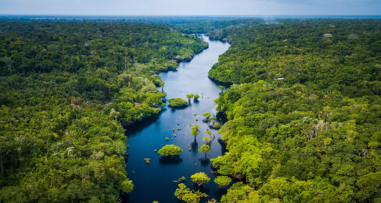 La Amazonía es la mayor selva tropical del mundo, llena de vida y misterios. Además de la naturaleza exuberante, esconde secretos antiguos de civilizaciones que vivieron allí hace miles de años.