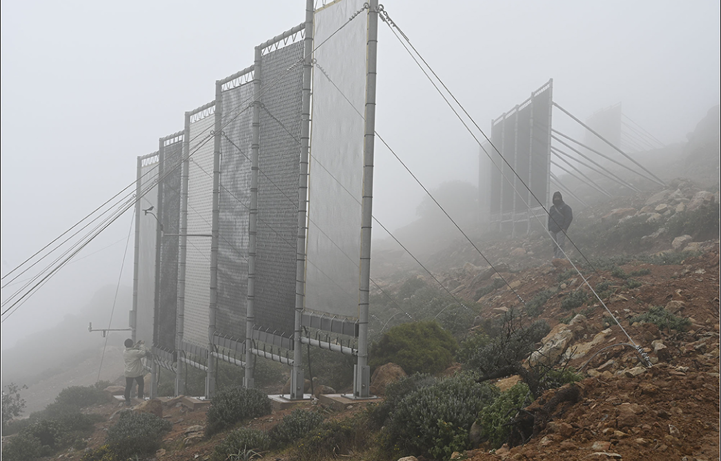 La idea fue desarrollada por un equipo internacional de científicos que estudian formas de obtener agua en el desierto, centrándose en el Desierto de Atacama, en Chile. El estudio, conducido por investigadores chilenos, analizó la viabilidad de la captura de neblina para suplir la escasez hídrica en la región.