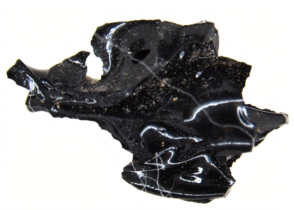 Este descubrimiento es relevante porque es el único caso conocido de un cerebro humano transformado en vidrio, revelando un fenómeno extremo de preservación. Proporciona nuevos conocimientos sobre los efectos de las erupciones volcánicas en tejidos biológicos y puede abrir caminos para investigaciones en arqueología y ciencia forense.