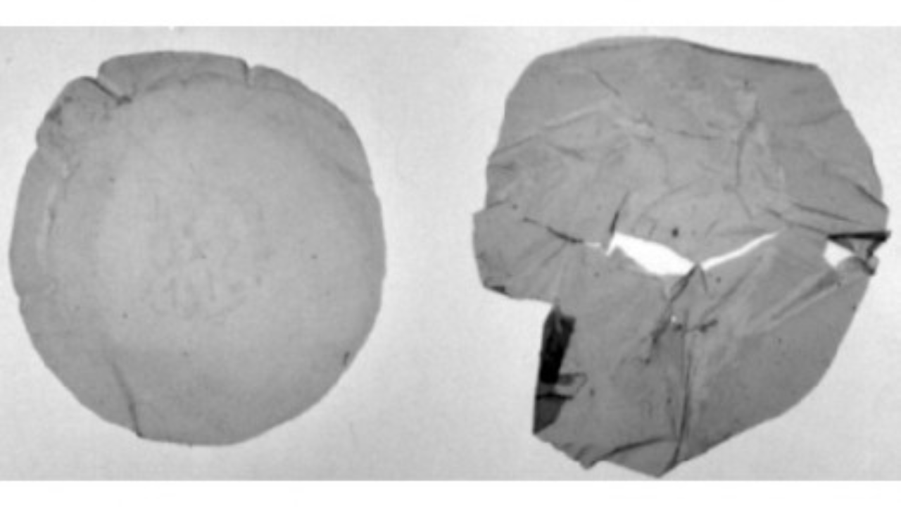 Ilustración de la degradación del polietileno por microorganismos desarrollados por el grupo de investigación. A la izquierda, se puede ver el plástico control incubado en tampón; mientras que a la derecha, el mismo material expuesto a la acción de los microorganismos.