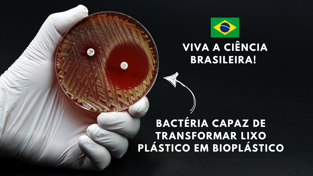 Pesquisadores brasileiros descobriram bactérias capazes de transformar plástico em bioplástico, uma solução eficiente para o material