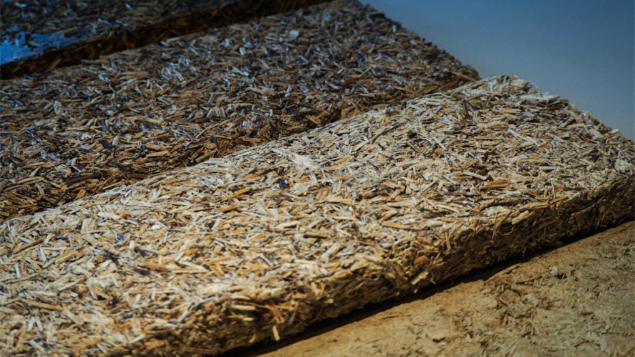 A startup HopfON transforma resíduos de lúpulo da produção de cerveja em painéis e materiais para a Construção Civil.