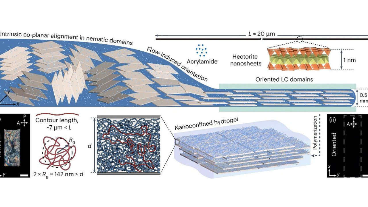 hidrogel - tecnologia - autocurativo - pele humana