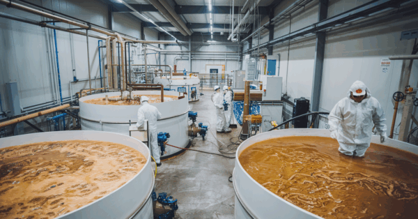 Cientistas brasileiros descobrem enzima inovadora que melhora a conversão de biomassa em etanol de segunda geração a partir de resíduos agrícolas, como cana-de-açúcar e palha de milho