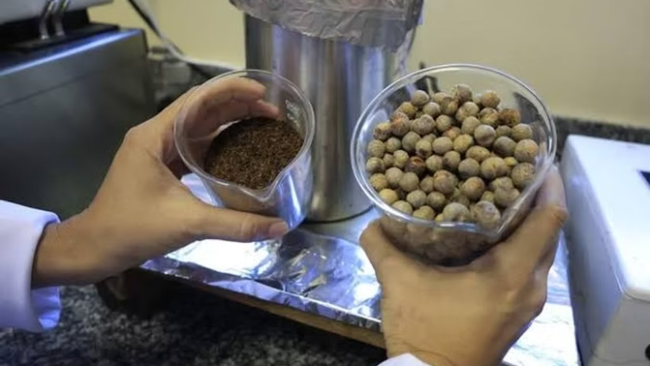innovación - sostenibilidad - biocombustible - cop 30 - inversión