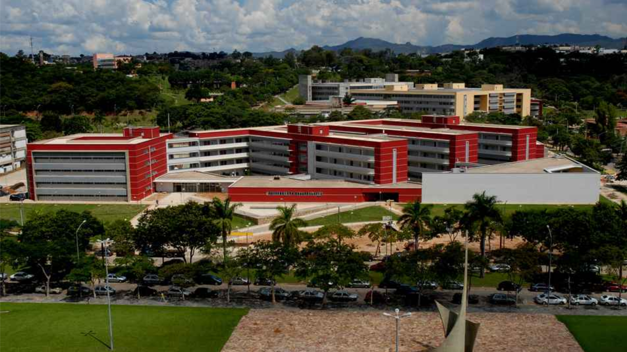 UFMG - processo seletivo - vagas