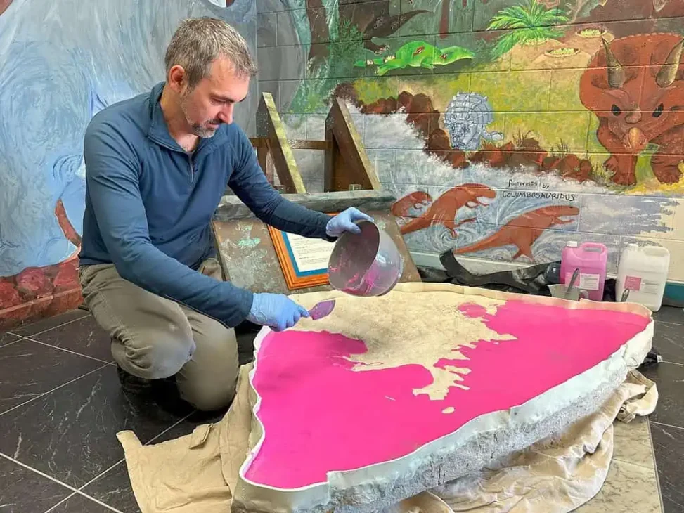 Descubrimiento fósil, Huellas de dinosaurios, Dinosaurios