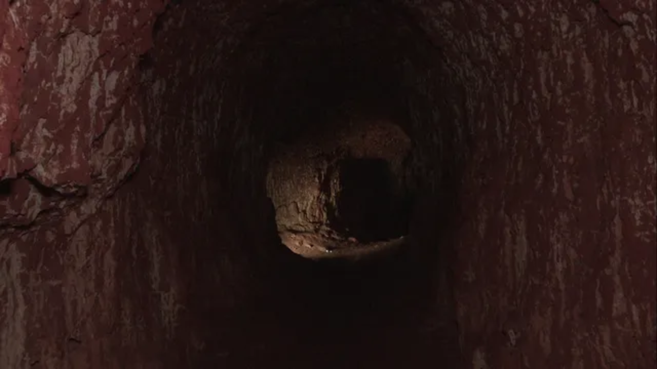 Las perezosas gigantes, con su inmenso porte, dejaron vestígios como túneles subterráneos en Brasil, revelando su impacto en la megafauna y transformación del paisaje brasileño.