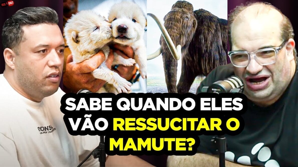 lobo-terrível, SACANI