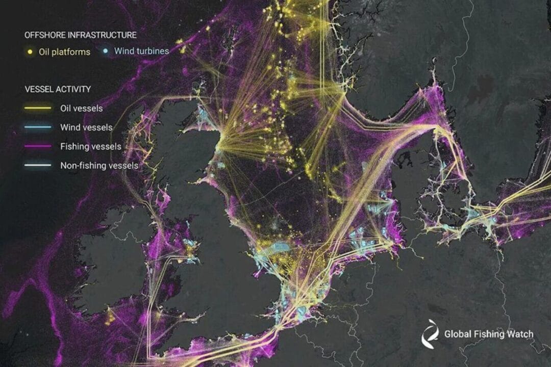 Estudo com IA revela que 75% da frota pesqueira industrial está oculta. Saiba como os navios fantasmas nos oceanos desafiam a fiscalização global.