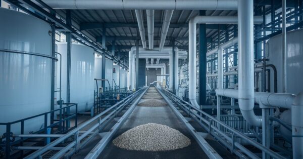 Mato Grosso do Sul pode receber fábrica de fertilizantes boliviana