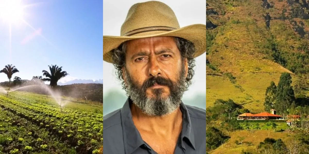 El lado rural de Marcos Palmeira: Ve la granja orgánica del actor con queso premiado, huerta, café y compromiso ambiental en Teresópolis.