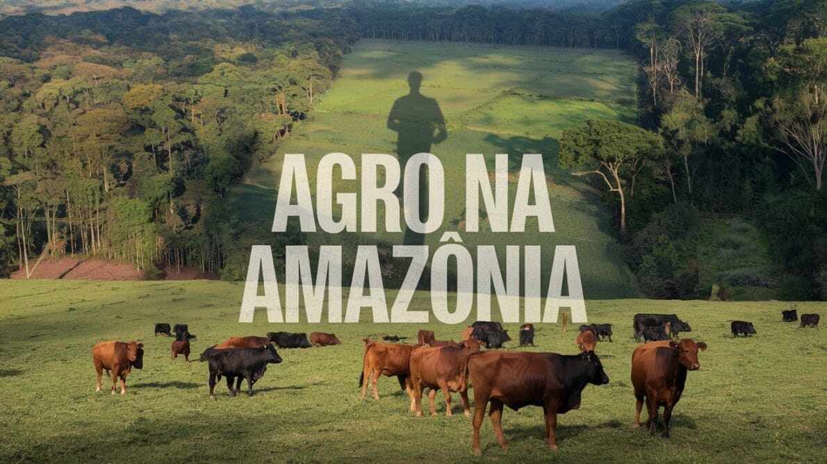 Conheça o império agropecuário de Roque Quagliato, o Rei do Gado, e como ele revolucionou a pecuária na Amazônia com inovação e coragem.