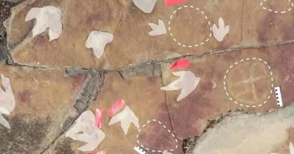 Descoberta arqueológica na Paraíba é reconhecida como uma das mais importantes do mundo por revista internacional