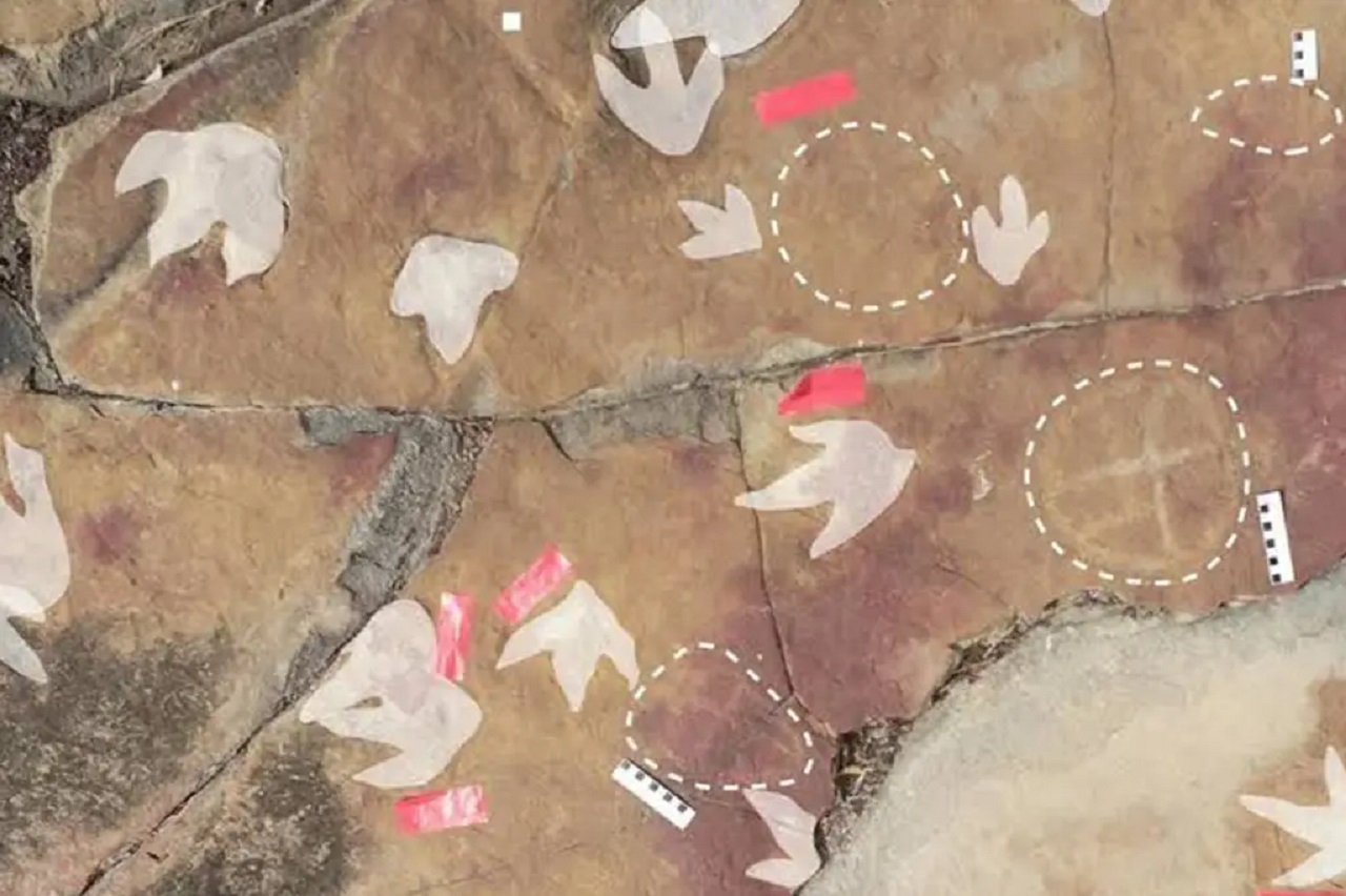 Descoberta arqueológica na Paraíba é reconhecida como uma das mais importantes do mundo por revista internacional