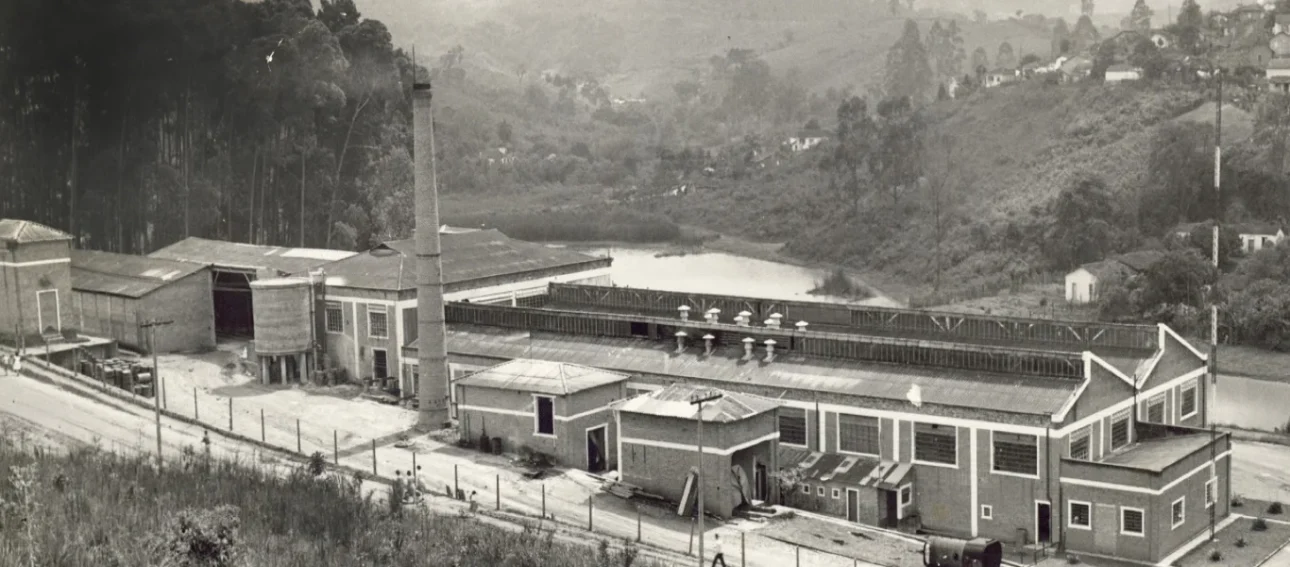 La Saga De Suzano: Del Comerciante Leon Feffer A La Liderazgo Mundial En Celulosa