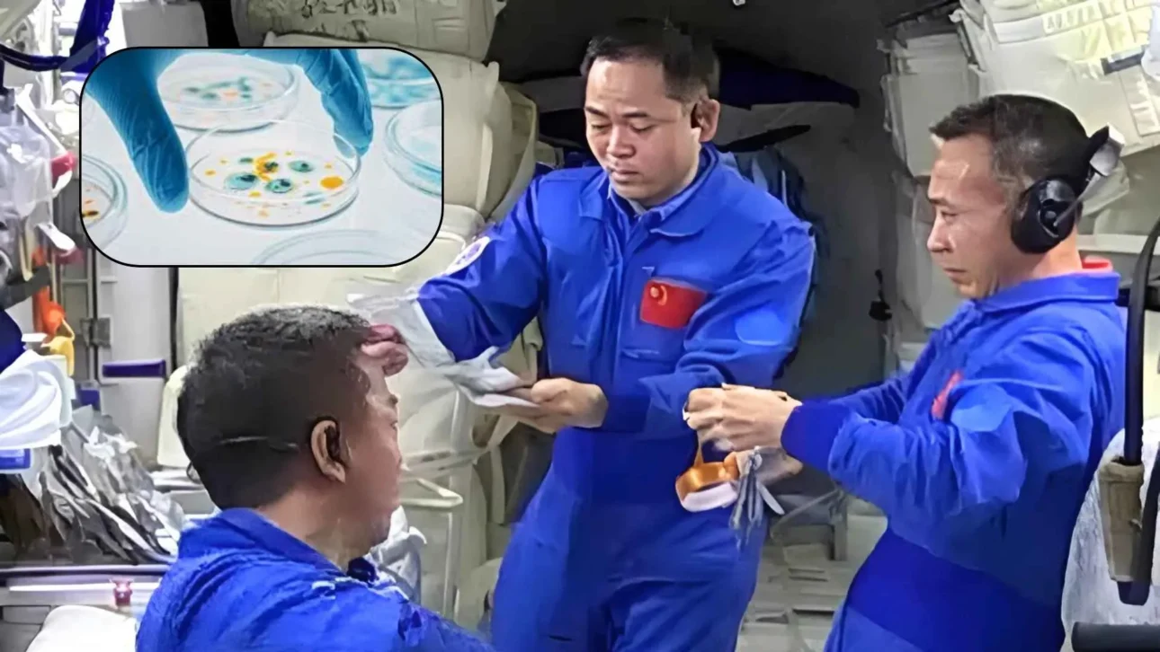 La especie nueva de bacteria evolucionando en órbita como una amenaza invisible y que puede transformar la exploración espacial en un riesgo biológico