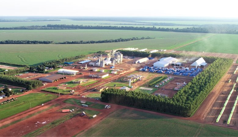 La mayor granja lechera del mundo, con una área para albergar 100.000 vacas mayor que muchas ciudades pequeñas