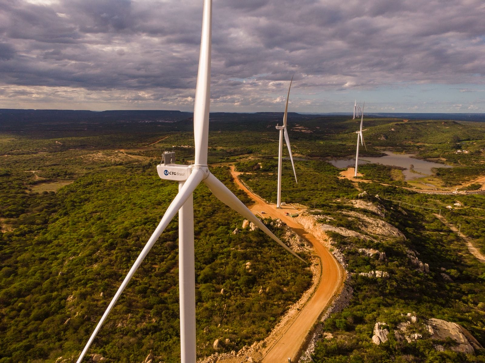 AeroGeradores do Complexo Eólico Serra da Palmeira em meio à vegetação nordestina. Imagem: Divulgação CTG.