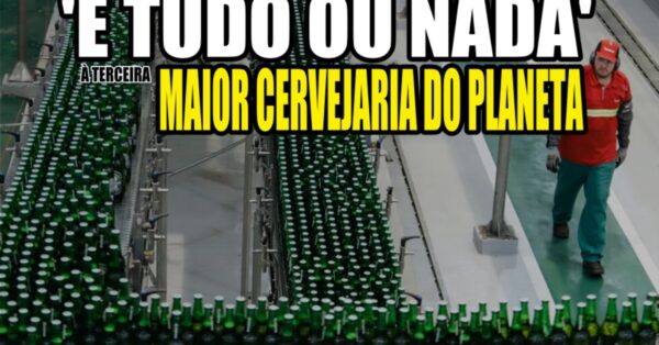 HEINEKEN - CERVEJA HEINEKEN - CERVEJARIA HEINEKEN - FÁBRICA HEINEKEN - PREÇO DA HEINEKEN