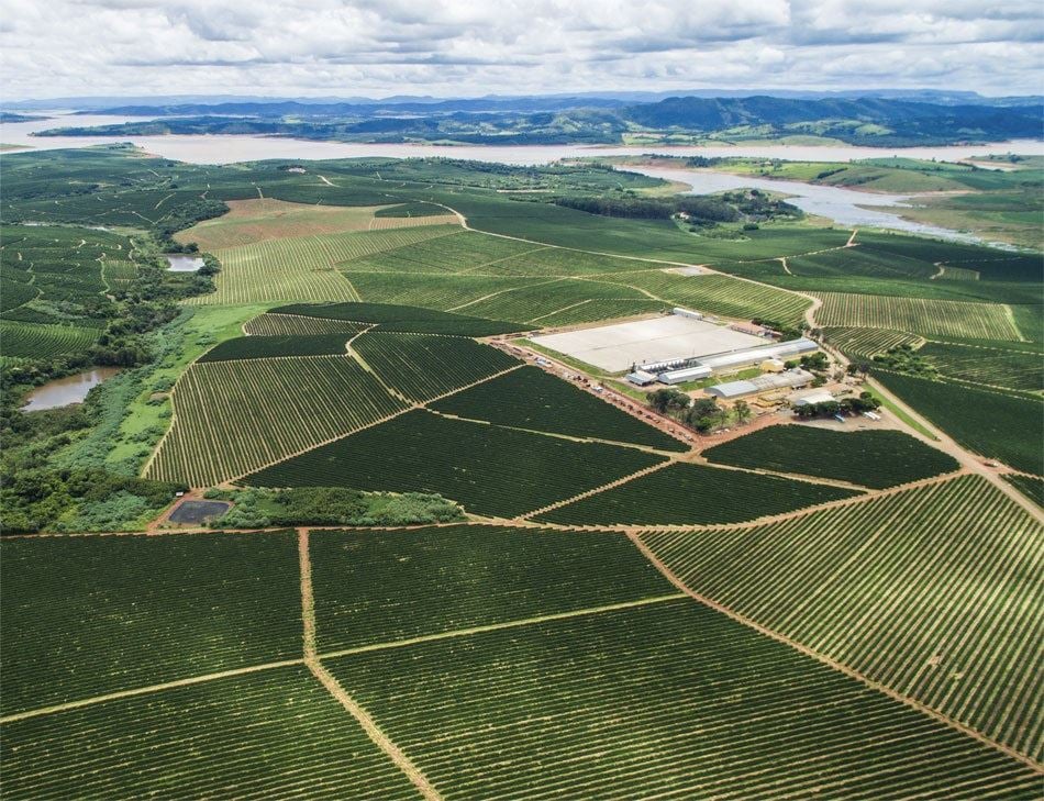 Ipanema Coffees y la búsqueda de la mayor finca de café del mund