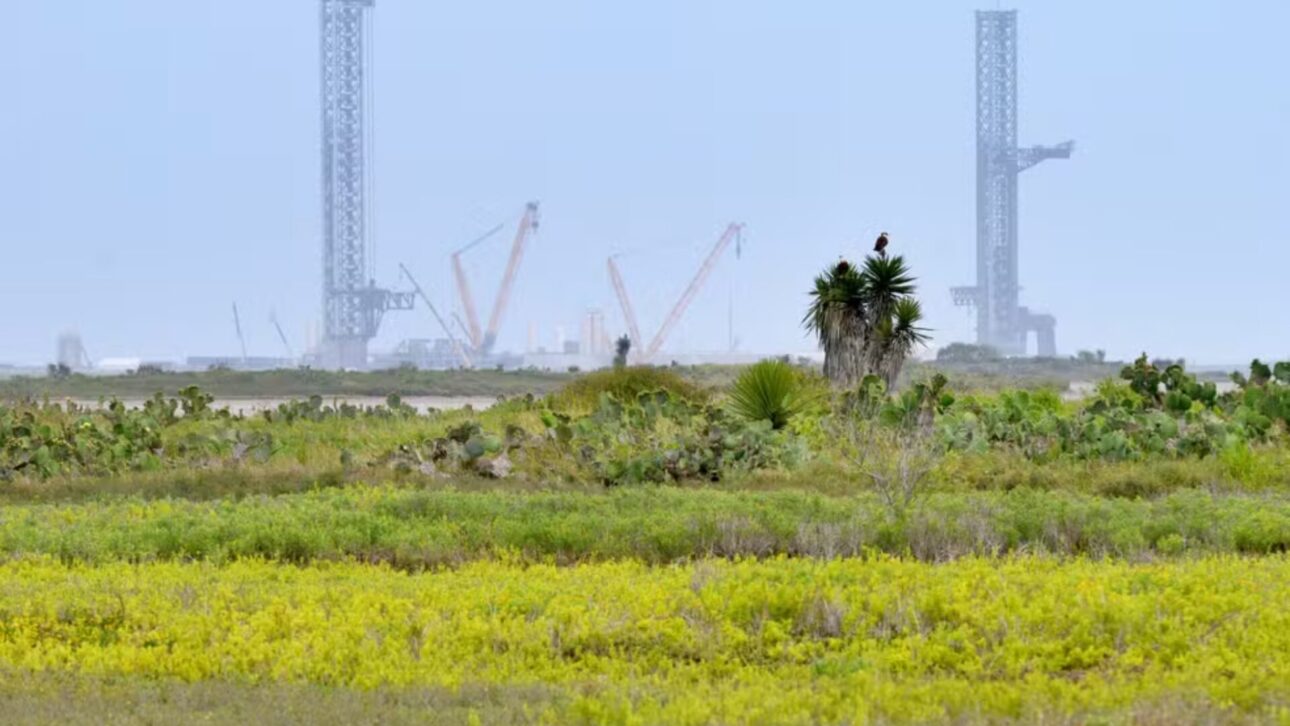 spacex - elon musk - Estados Unidos - starbase