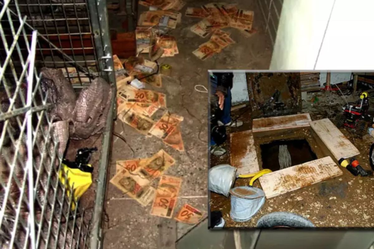 O Furto Cinematográfico ao Banco Central: Túnel, Milhões e Uma Caçada Implacável