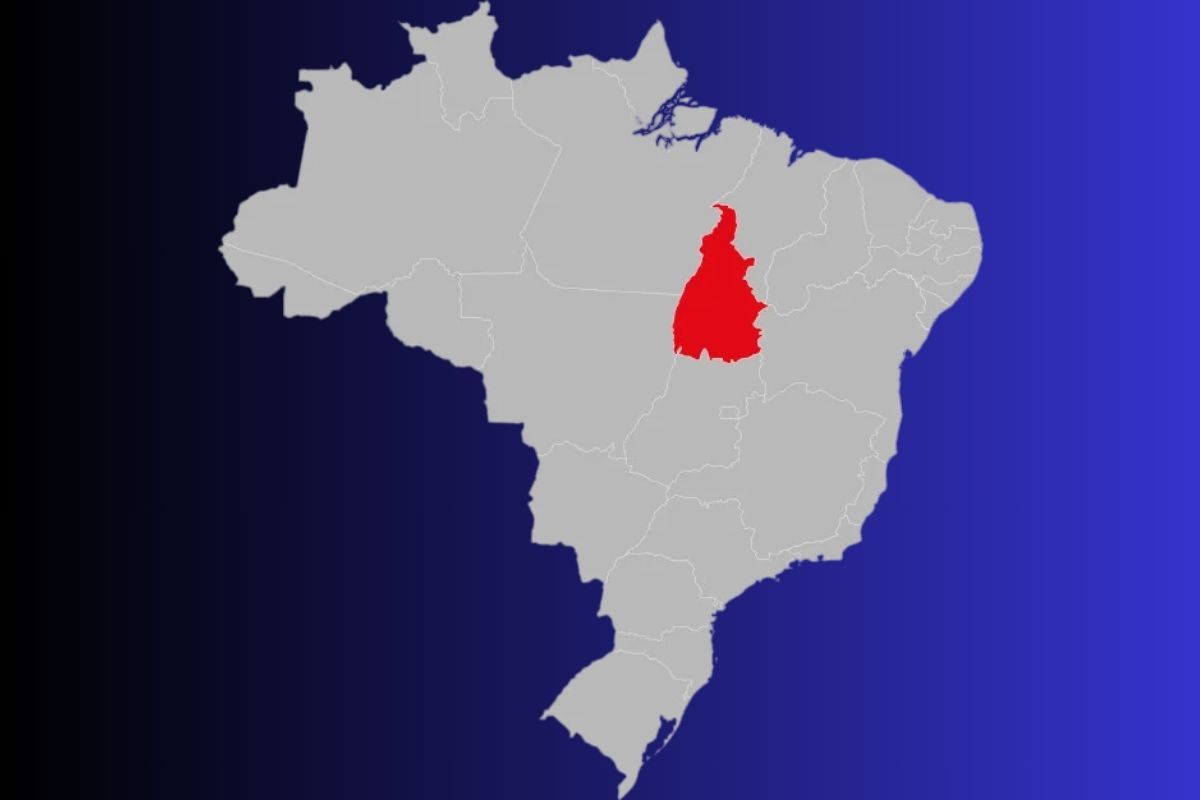 Tocantins, o estado mais novo do Brasil: conheça sua fascinante história de criação em 1988, os desafios e o desenvolvimento desta jovem unidade federativa.