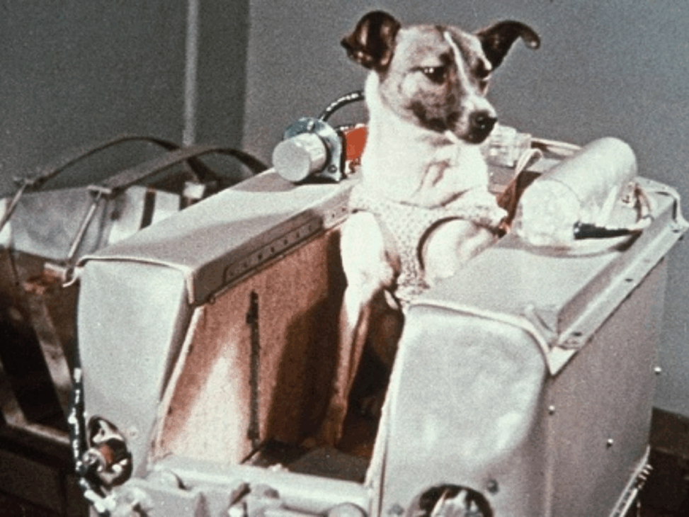 El primer ser vivo enviado al espacio y que orbitó la tierra no fue un humano