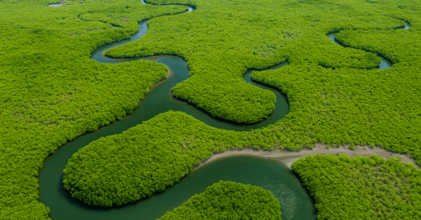 O rio brasileiro que é mais longo que o Nilo, cruza três biomas e guarda segredos que a ciência ainda tenta explicar - o maior rio do mundo