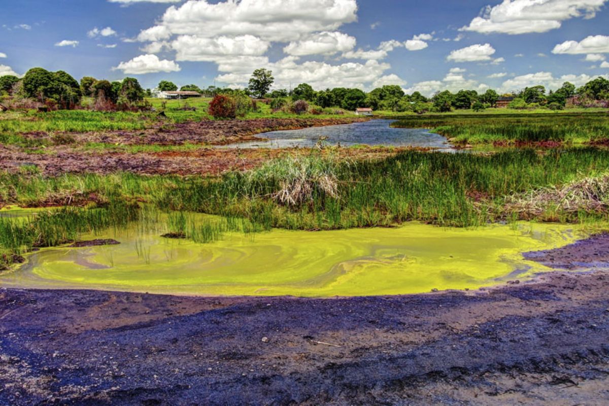 O que é um lago de asfalto natural? Entenda a geologia por trás do piche que surge da terra e conheça exemplos incríveis no Brasil.