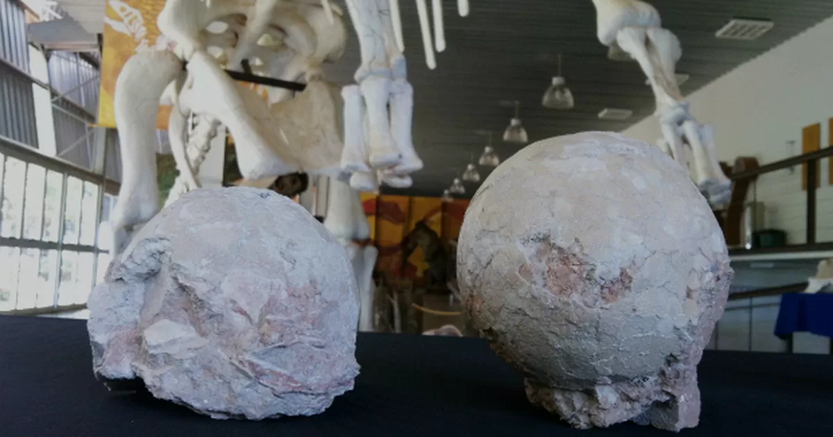 Una ciudad en Brasil donde huevos de dinosaurio fueron soterrados por el tiempo?