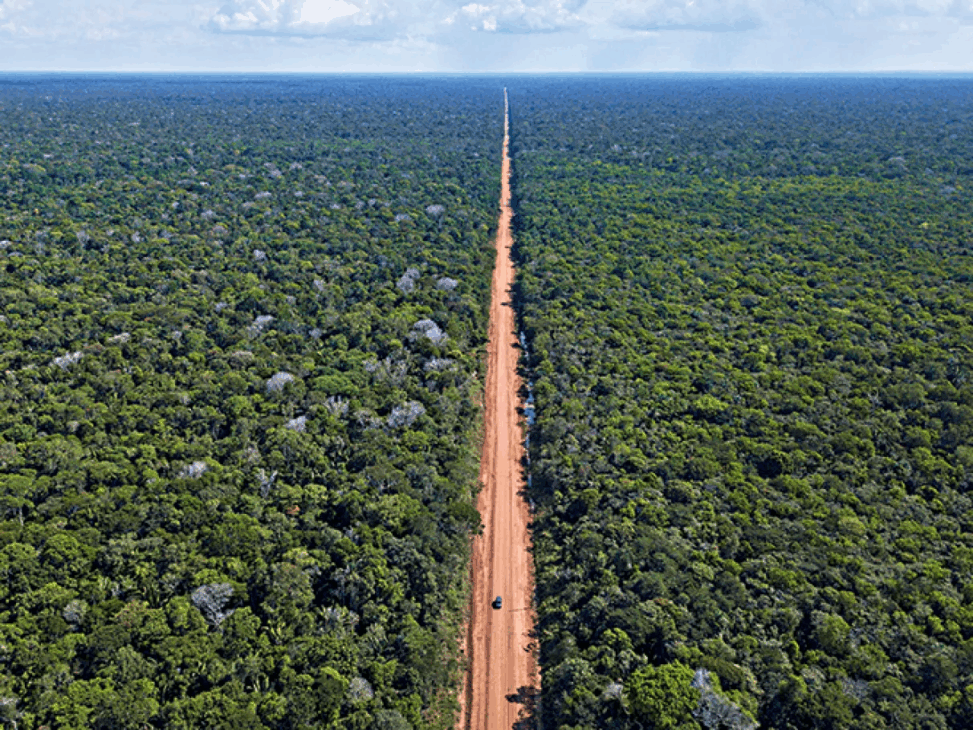 BR-319, la carretera de la Amazonía olvidada, enfrenta obstáculos ambientales y políticos que impiden su pavimentación y desarrollo sostenible.